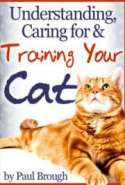 Understanding, Caring for and Training Your Cat