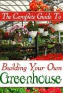 Building Your Own Greenhouse