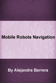 Mobile Robots Navigation