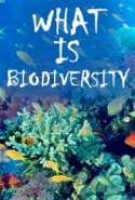 What is Biodiversity