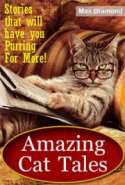 Amazing Cat Tales