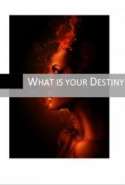 What is your Destiny