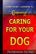 Caring For Your Dog